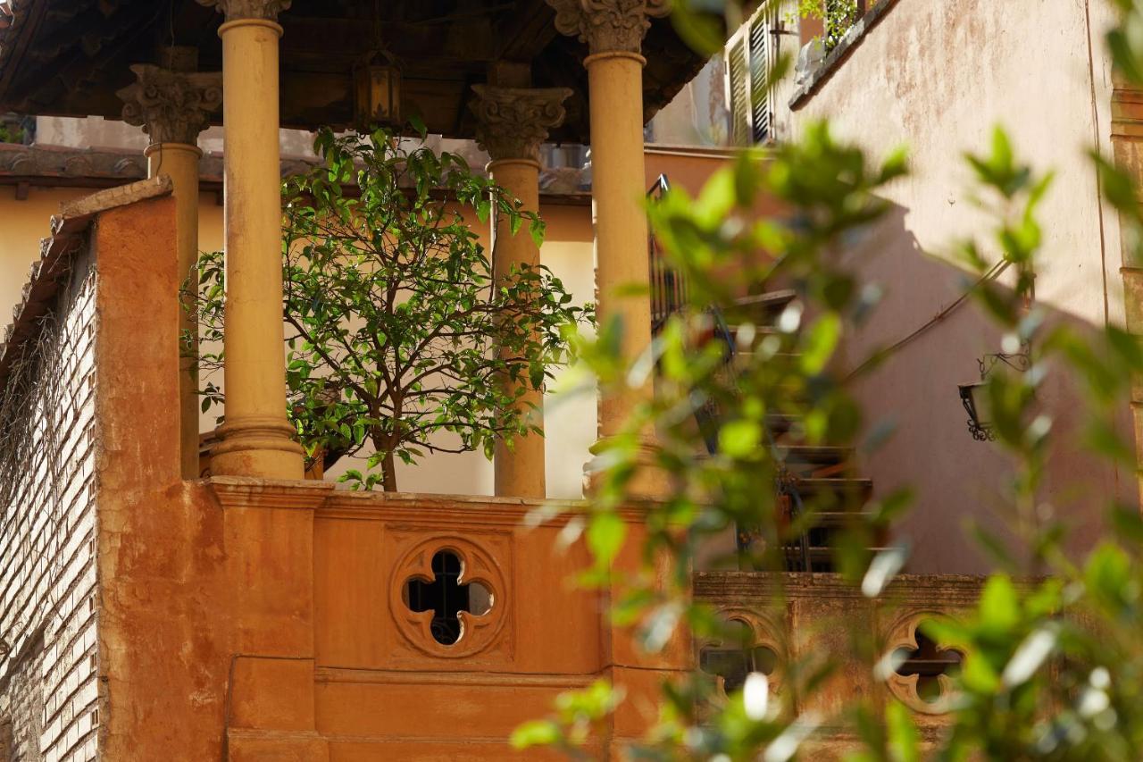 Single Room Terrace