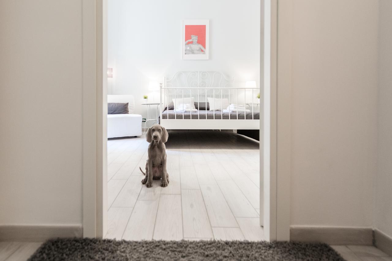Junior Suite,1145506867:JPEG